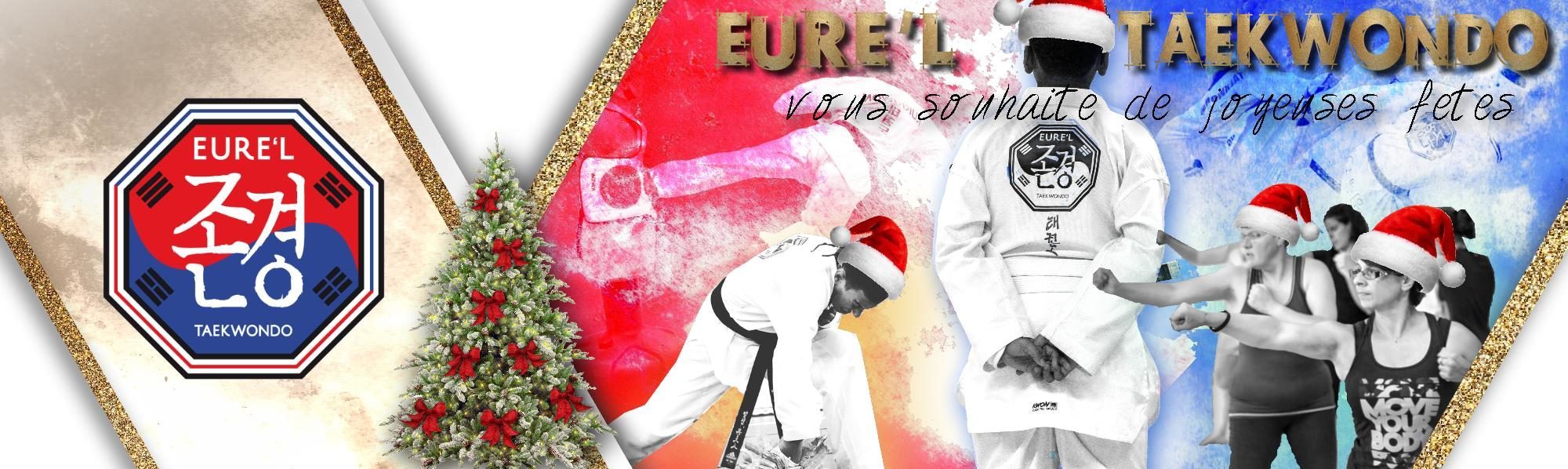 eurel-taekwondo.fr